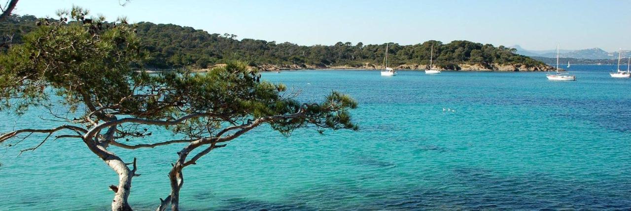 Appartamento Super Studio Climatise Sur Le Port De Hyères Esterno foto